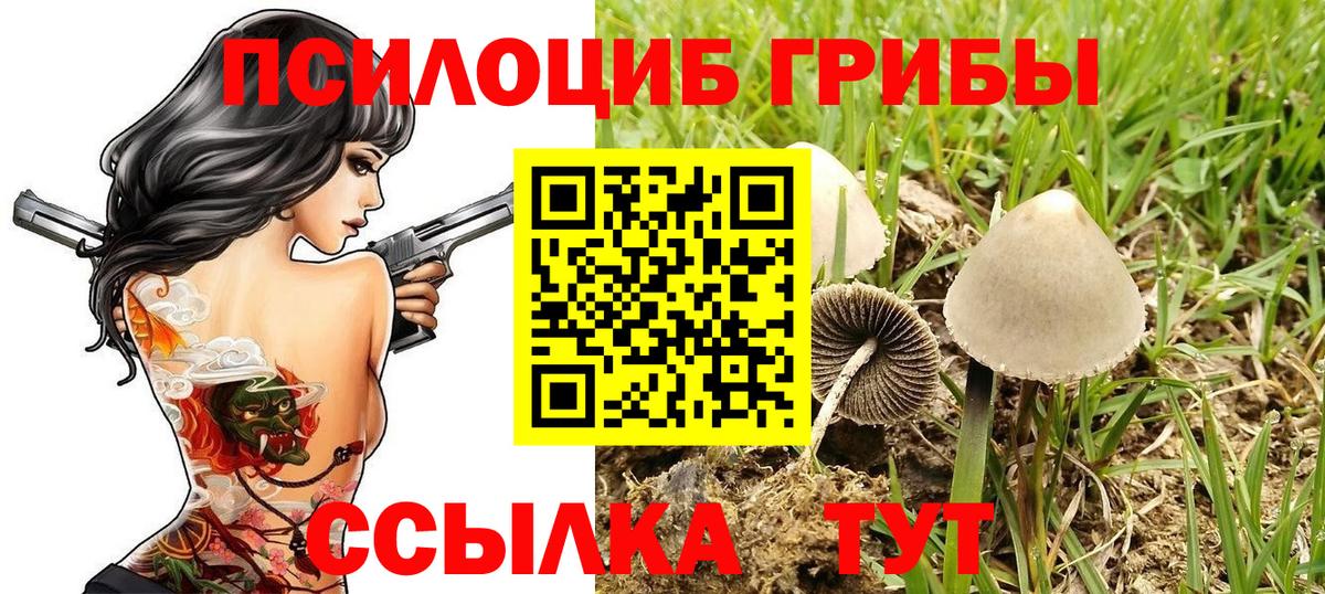 Галлюциногенные грибы Psilocybe  Вход с VPN  Салехард 